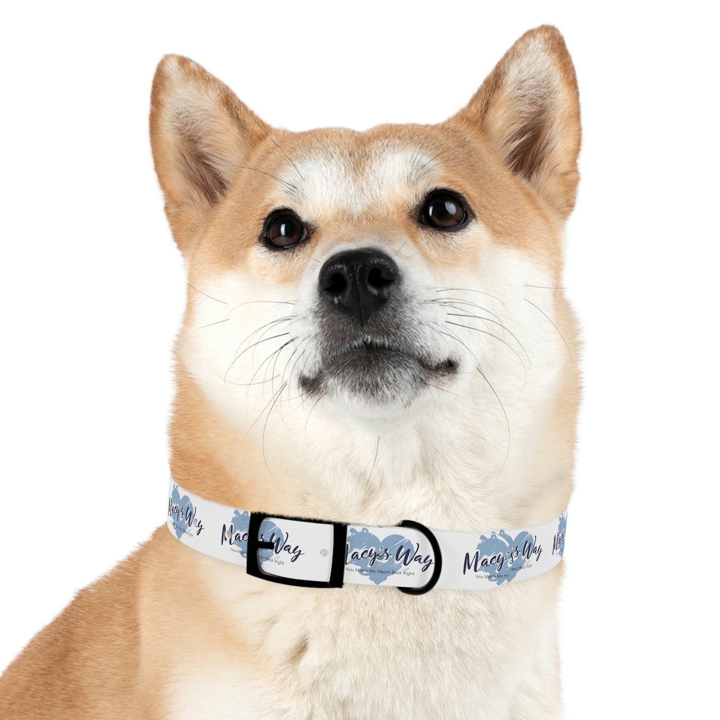 Dog Collar