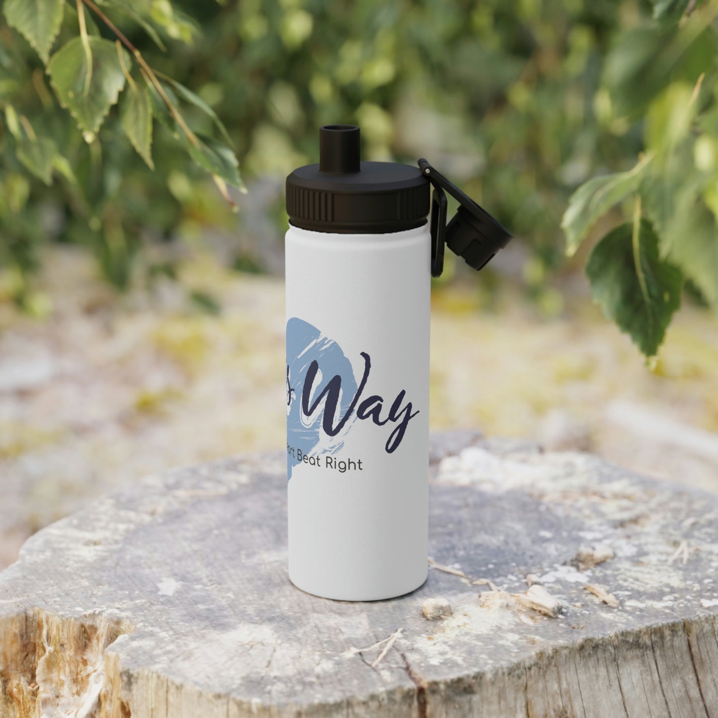 Stainless Steel Water Bottle, Sports Lid