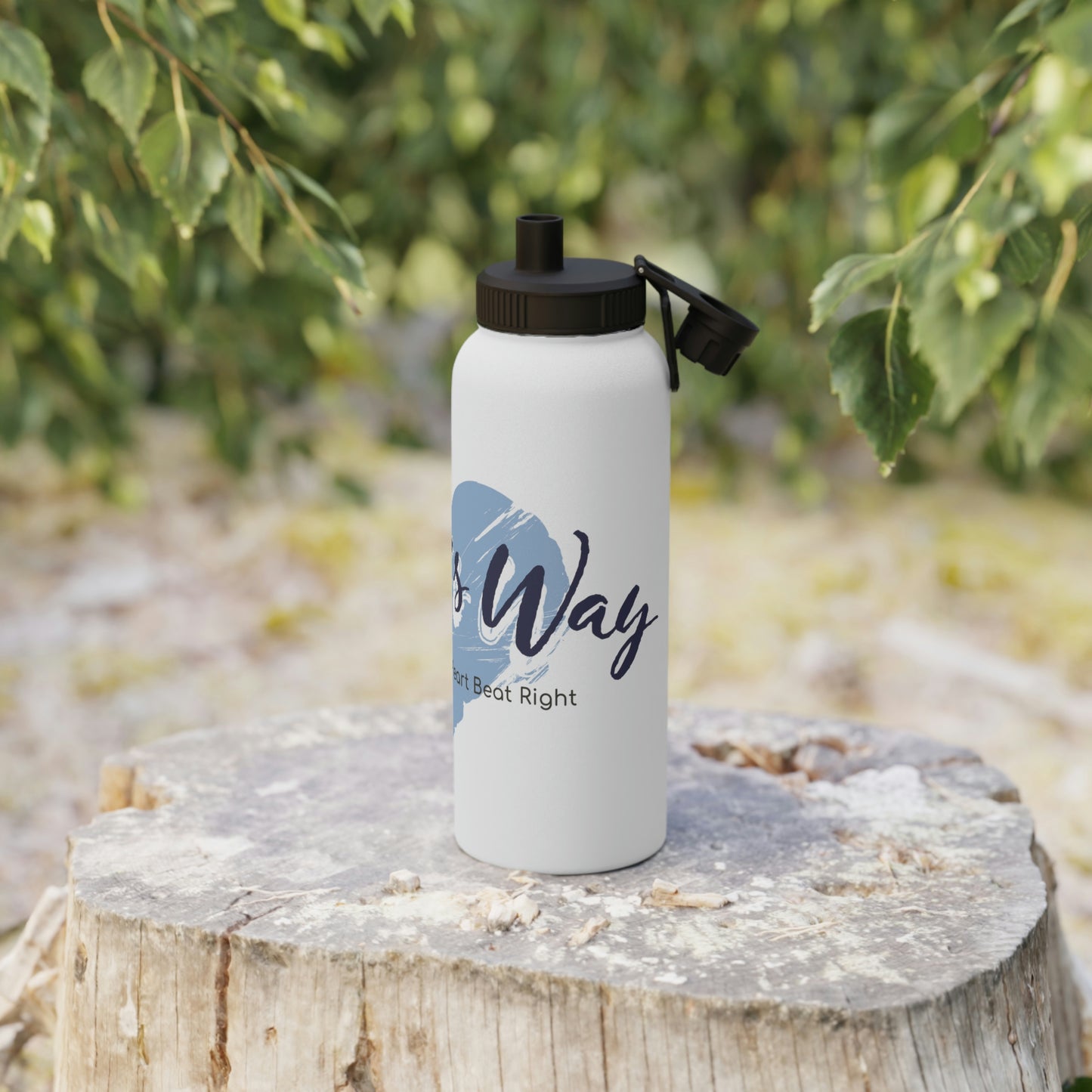 Stainless Steel Water Bottle, Sports Lid