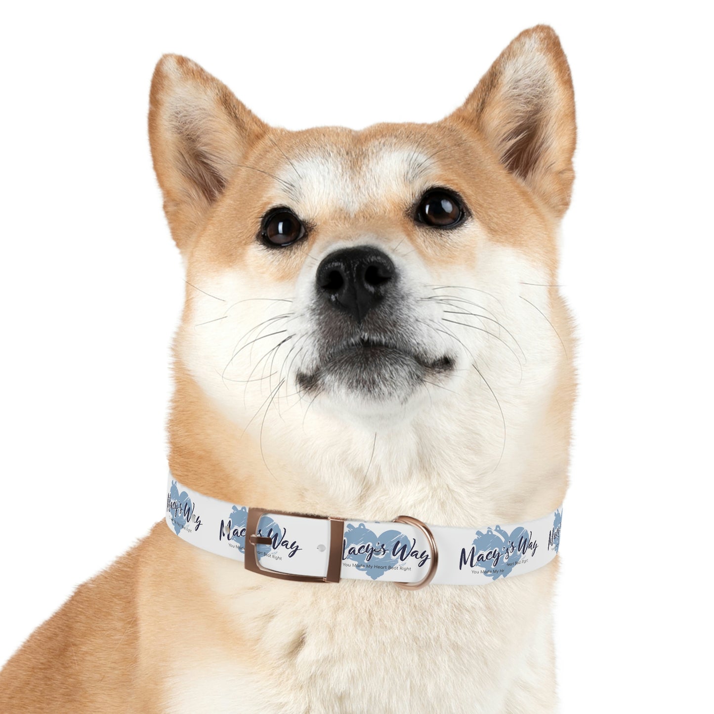 Dog Collar