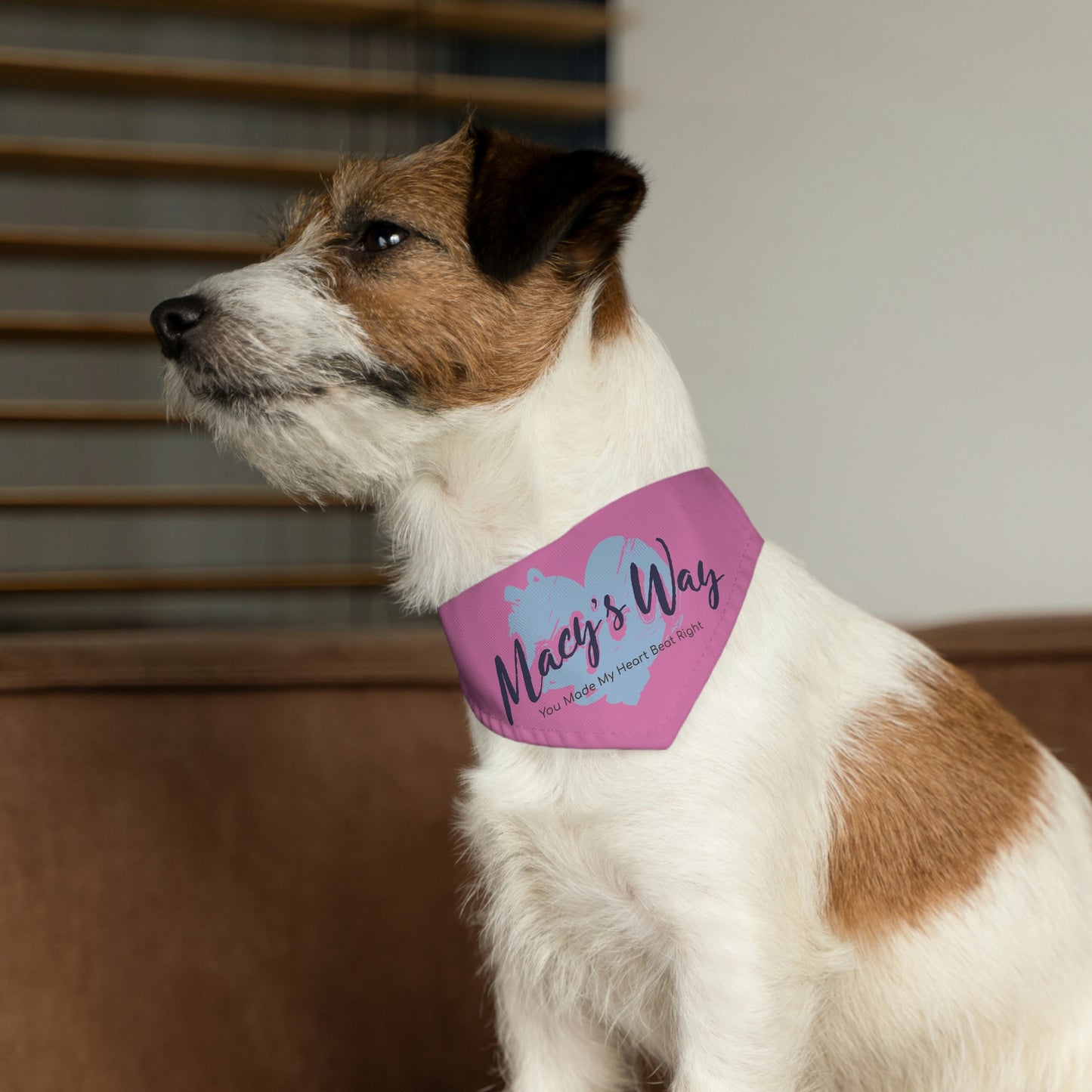 Pet Bandana Collar